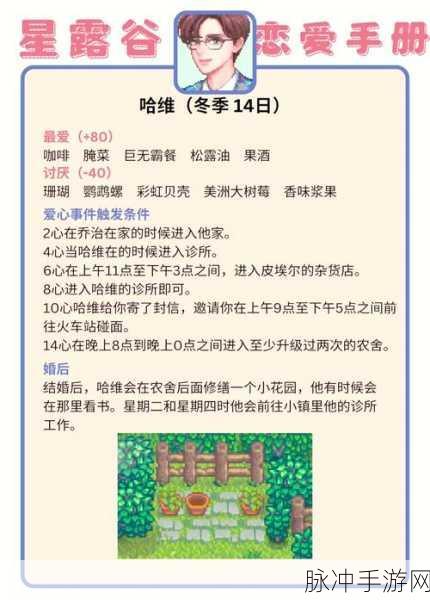 星露谷物语,解锁婚后浪漫剧情的甜蜜秘籍