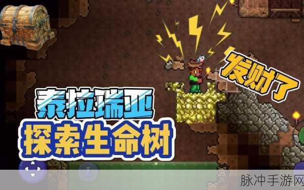 泰拉瑞亚奇遇,解锁远古钻套装的终极探索