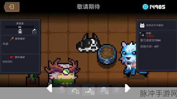 元气骑士,宠物系统深度探索与实战搭配宝典