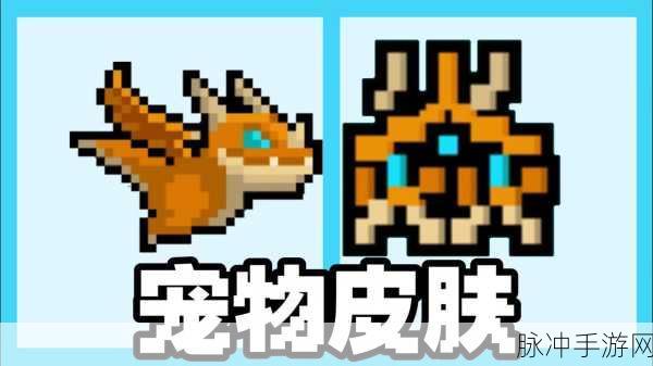 元气骑士,宠物系统深度探索与实战搭配宝典