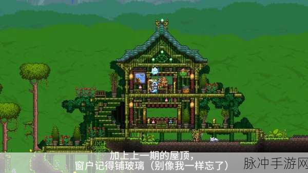 泰拉瑞亚奇遇,探索丛林与森林的秘境旋律
