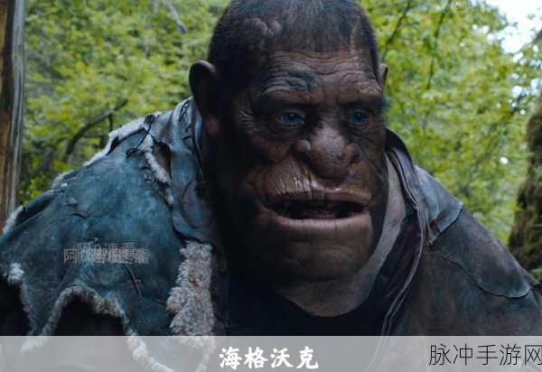 女巫猎人BOSS终极攻略,策略与技巧大公开,助你征服难关
