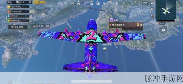 和平精英空投行动,揭秘工卡神秘位置