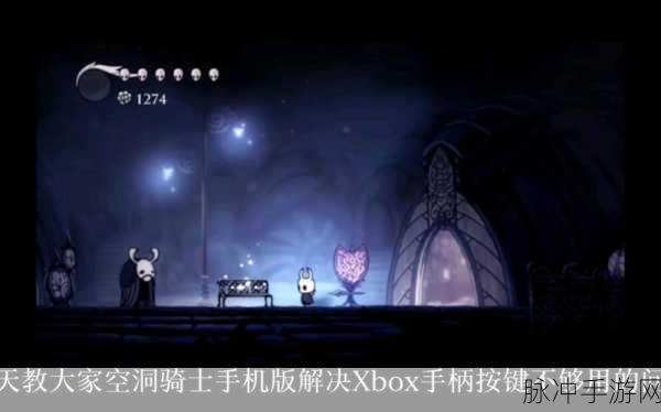 空洞骑士手柄失灵?别担心,这里有全面解决攻略!