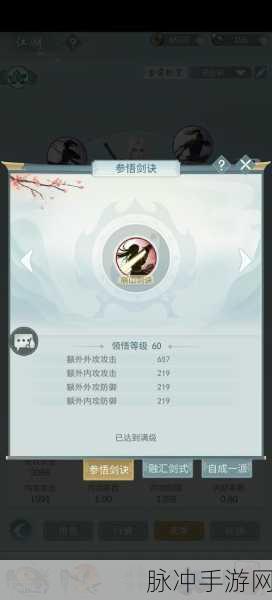暗影阁上品武学深度解析,江湖悠悠中的刺客之道