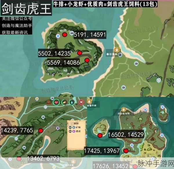 探寻创造与魔法虎皮鲨的秘境,位置攻略大揭秘