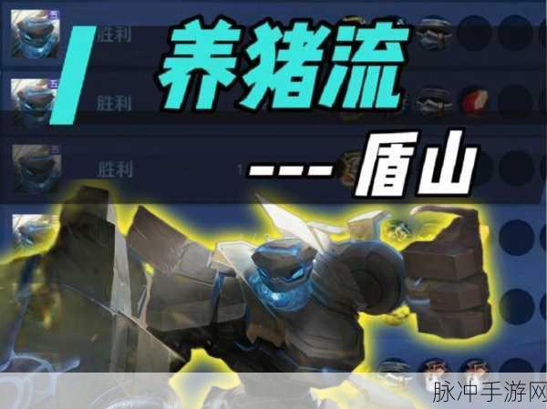 王者荣耀战术大比拼,养猪流VS推塔流,谁主沉浮?