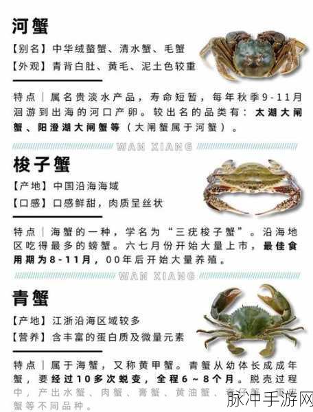 江南百景图螃蟹获取全攻略,解锁海鲜美食的秘密