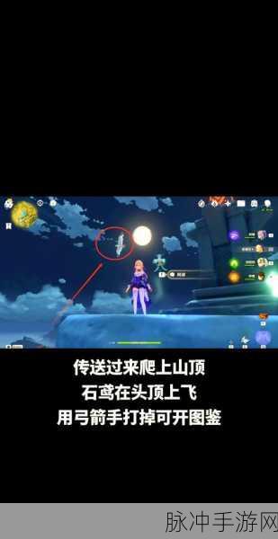 原神鹰射击全攻略,精准定位与技巧大揭秘