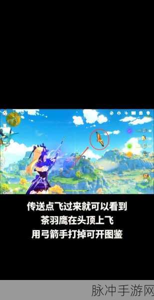 原神鹰射击全攻略,精准定位与技巧大揭秘