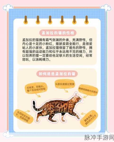 手游中猎豹幼崽宠物的获取秘籍