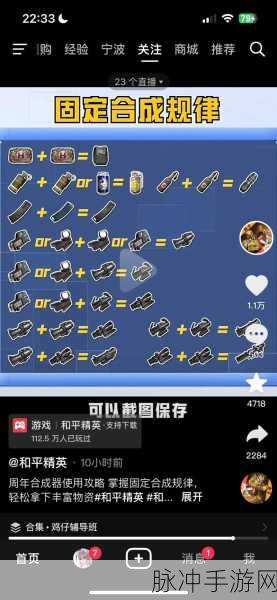 和平精英武器扩容秘籍,深度洞察实战利器