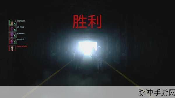 生化危机抵抗计划,幸存者生存全攻略深度剖析