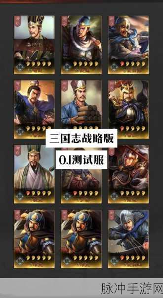 三国志13兵种适性提升全攻略,打造无敌军团