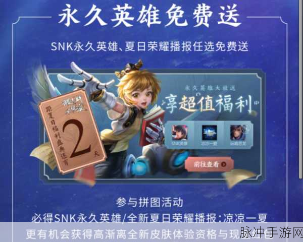 王者荣耀SNK皮肤礼包深度测评,性价比与收藏价值并存