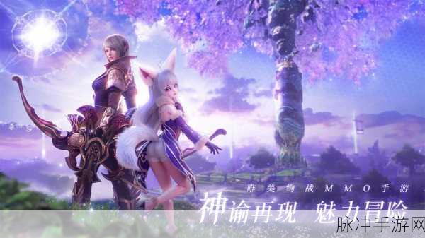 无神之界射手之路，揭秘属性选择的奥秘