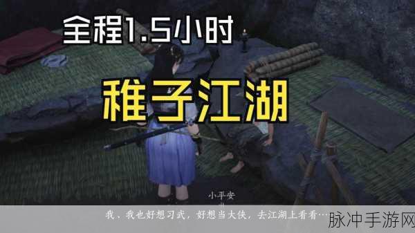 烟雨江湖,虎子的风筝寻觅之旅