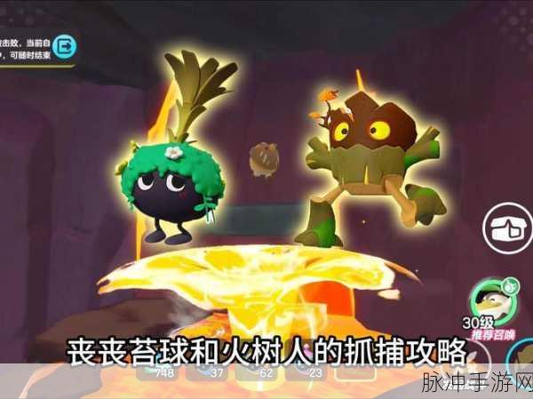 蛋仔派对火树仔的信物大揭秘，全新获取攻略，派对狂欢无极限！