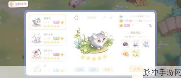 风云岛行动,萌宠集结,解锁宠物获取秘籍