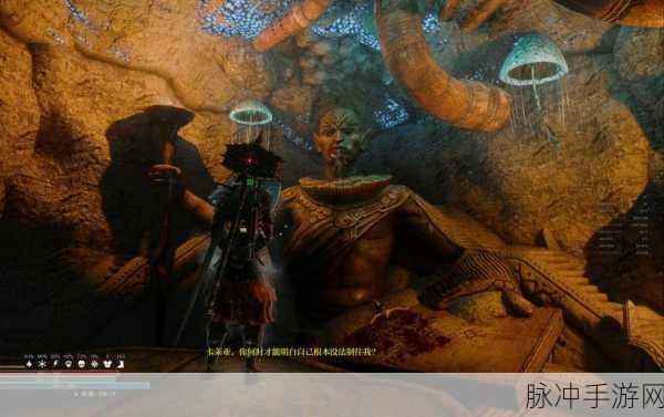 深度探索上古卷轴5幻刺之道,玩法心得大揭秘