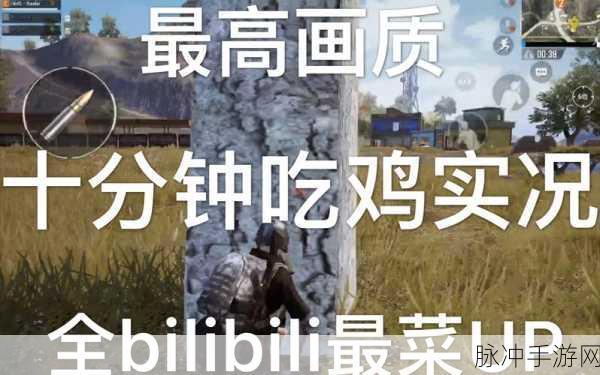 B站刺激战场直播盛宴,解锁热门主播的秘籍