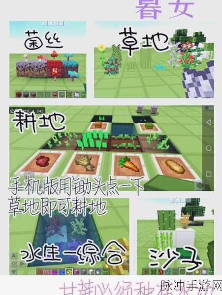 我的世界树苗生长条件全解析