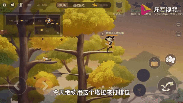 猫和老鼠手游,揭秘四叶草获取秘籍,轻松抽取稀有道具