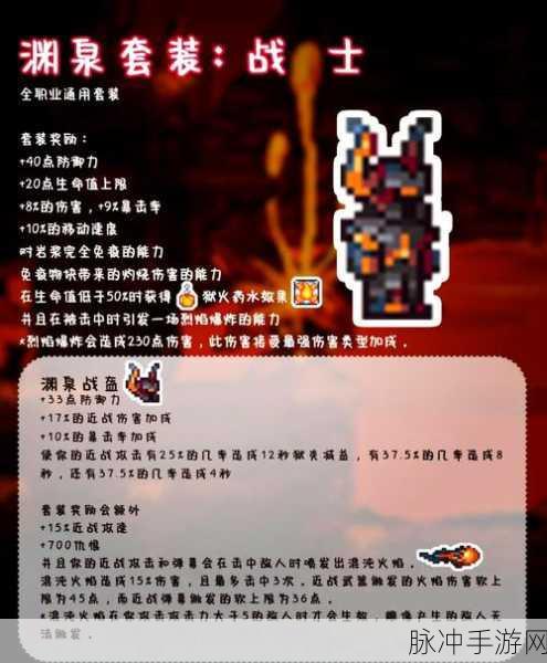 泰拉瑞亚忍者套装,揭秘神秘装备的获取秘籍
