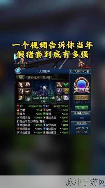 DNF假猪套爆红网络,揭秘其背后的故事