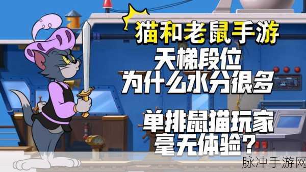 猫鼠智斗新纪元，汤姆的智慧攻略全解析