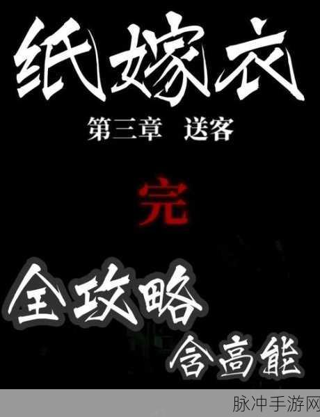 纸嫁衣三双人版,携手共闯恐怖解谜之旅全攻略