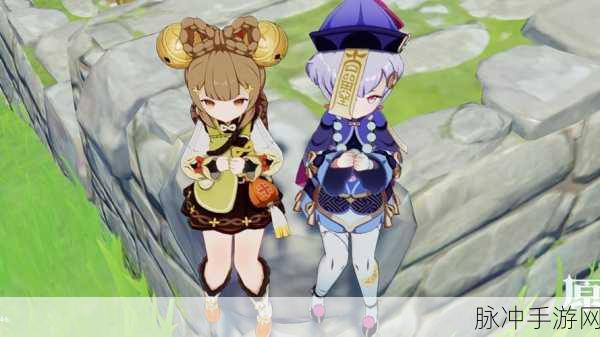 幻想之旅新篇章,与原神女角色共舞的梦幻奇遇