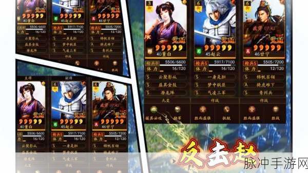 三国志战略版董白,解锁最强阵容搭配秘籍