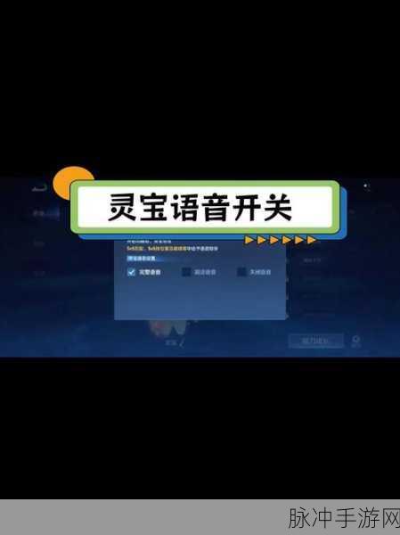 王者荣耀,解锁新技能,巧妙屏蔽队友信号与语音