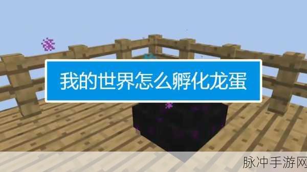 我的世界龙蛋孵化全攻略,解锁你的专属神龙