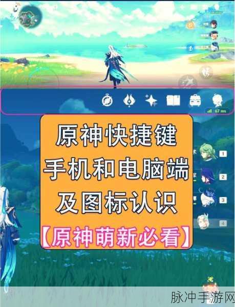 原神清心材料采集秘籍,助你角色等级飞速提升