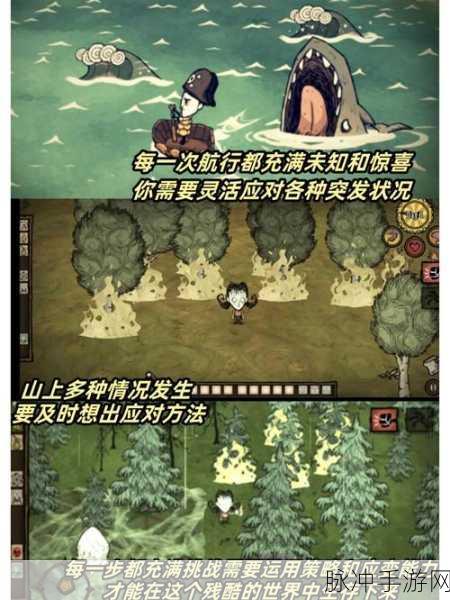 饥荒联机版新篇章,海滩奇遇,解锁无限探索乐趣