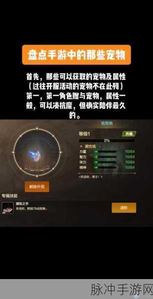 DNF收货柳树,解锁隐藏奖励与趣味玩法