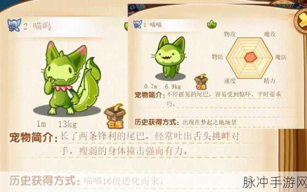 洛克王国,揭秘拯救小猫咪编号的奇妙之旅