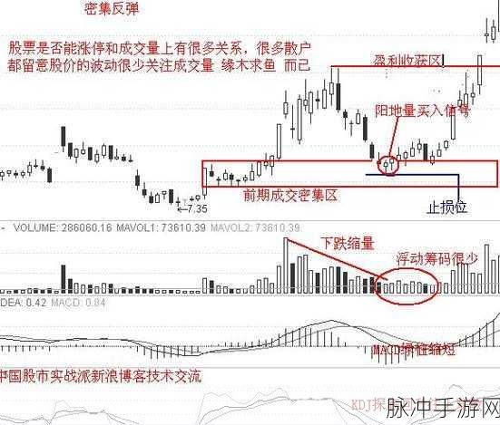 藏剑金蛇剑任务全攻略,轻松斩获特效武器