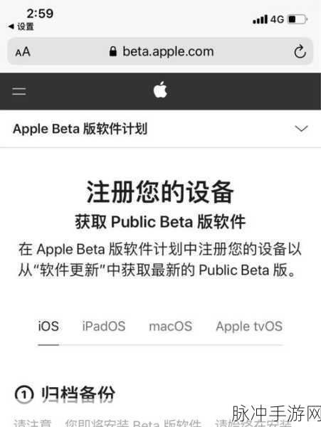iOS烧饼修改器的深度使用指南与技巧