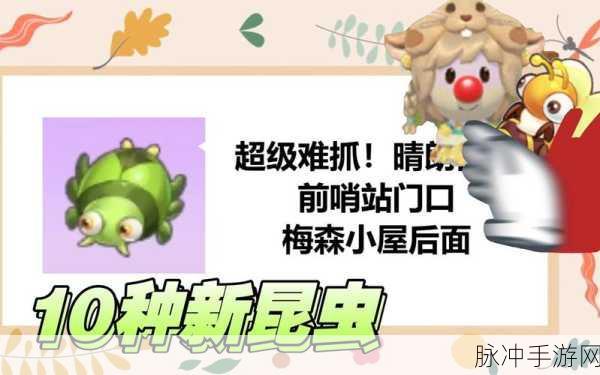 摩尔庄园菜地蜜蜂驱赶全攻略