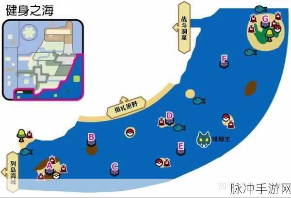 宝可梦剑盾铠之孤岛，高效攻略，速刷铠甲矿石秘籍