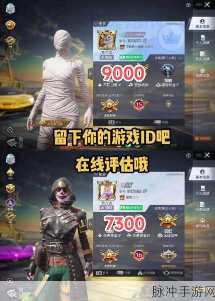 和平精英辅助发卡平台,游戏竞技的双刃剑探秘