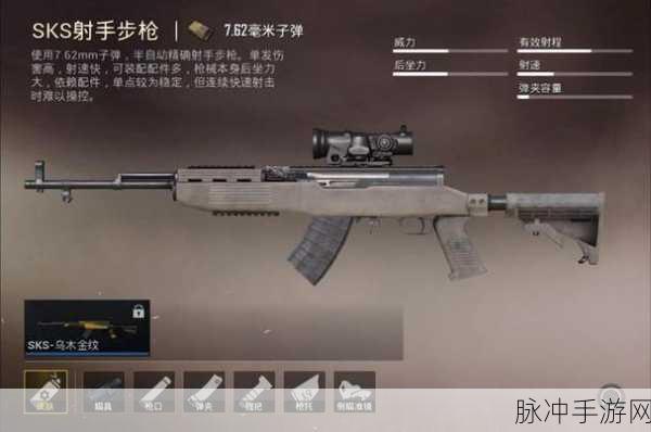 SKS全面解析,配件搭配与使用场景揭秘