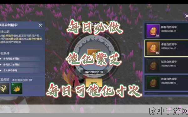 妄想山海紫芝催化全攻略,解锁神草之力