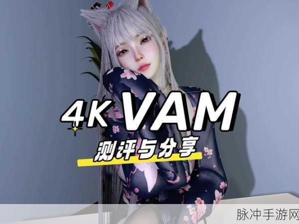 VAM女友模拟器,探索逼真3D互动新境界