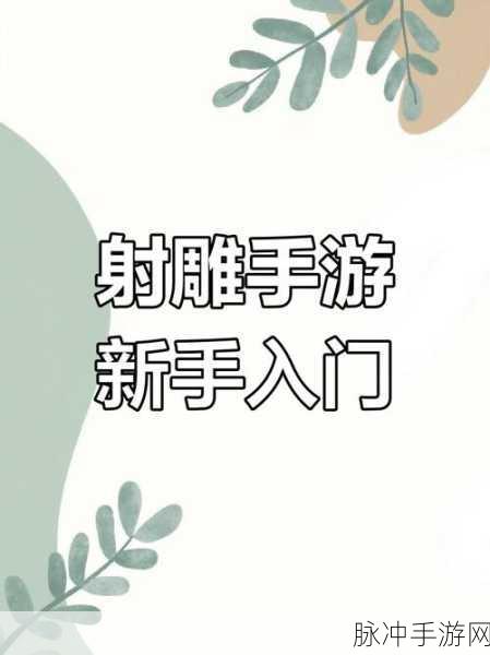 射雕手游,竹蹴鞠获取秘籍大公开