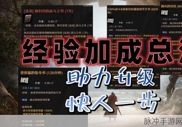 黑色沙漠手游,刷怪最快职业揭秘与刷图职业选择指南