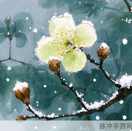 寒意艺术，解锁休闲益智画画的全新境界